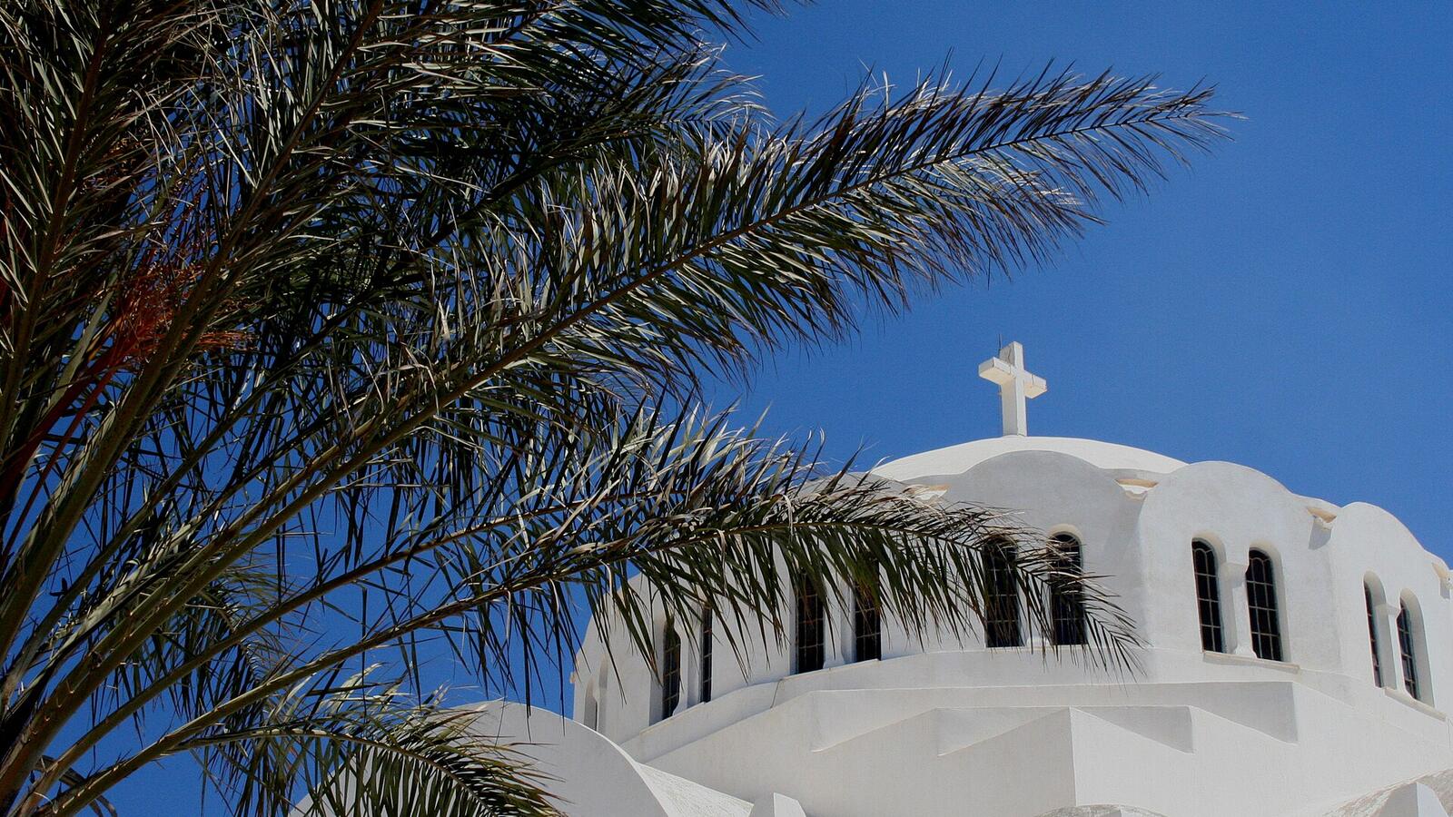 Wit kerkje met koepel en een palmboom tegen een blauwe lucht op Santorini